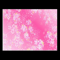 Cherry Blossom Postcard postcards