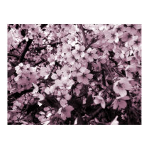 Cherry Blossom posters by artberry Cherry Blossom posters