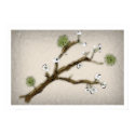 Cherry Blossom posters by oxidave Cherry Blossom posters
