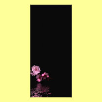 cherry blossom rackcard rack cards