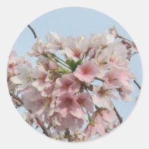 Cherry Blossom Round Stickers