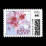 Cherry Blossom RSVP stamps