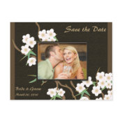 Cherry Blossom Save the Date photo cards postcard