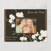 Cherry Blossom Save the Date photo cards postcard