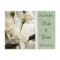 Cherry Blossom Save the date postcard postcards