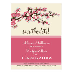 Cherry Blossom Save the Date Postcard (pink)