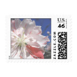 Cherry Blossom Small Postal  Wedding Postage