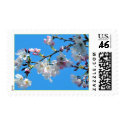 Cherry Blossom Spring Postage postage by LorrieM Cherry Blossom Spring Postage postage