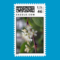 Cherry Blossom Stamp stamps