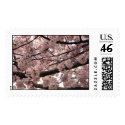Cherry Blossom Stamps by Llywellyn Cherry Blossom Stamps