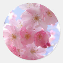 Cherry blossom sticker