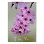 Cherry Blossom Thank You Card
