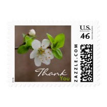 Cherry Blossom • Thank You Stamp
