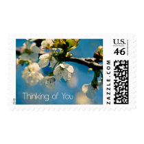 Cherry Blossom Thinking of You Stamp