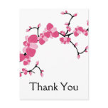 Cherry Blossom Tree Branch Thank You Postcards 2
