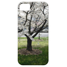 Cherry Blossom Tree iPhone 5 Case