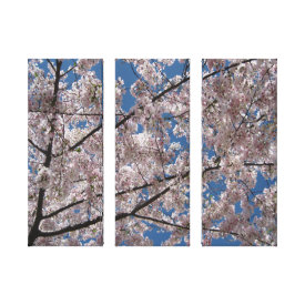 Cherry Blossom Tree Wrapped Canvases wrappedcanvas