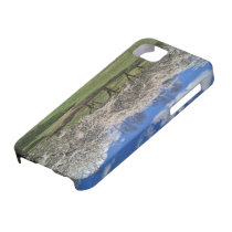 Cherry Blossom Trees casemate cases