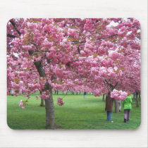 Cherry blossom trees mouse mat