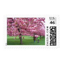 Cherry blossom trees postage stamps