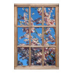 Cherry Blossom View from a Window print
