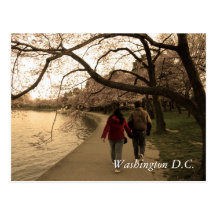 Cherry Blossom Walk Post Card
