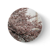 Cherry Blossom Washington DC Buttons
