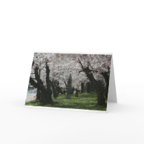 Cherry Blossom Washington DC Card
