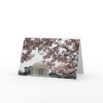 Cherry Blossom Washington DC Greeting Cards