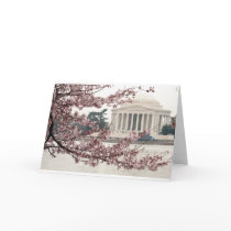 Cherry Blossom Washington DC Cards