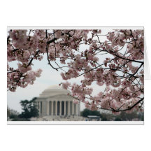 Cherry Blossom Washington DC Greeting Cards