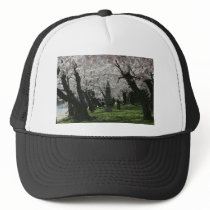 Cherry Blossom Washington DC Hats
