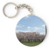 cherry blossom Washington dc Key Chain