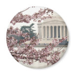 Cherry Blossom Washington DC Magnets