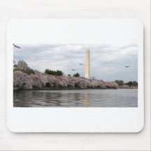 Cherry Blossom Washington DC Mouse Mat