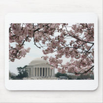 Cherry Blossom Washington DC Mouse Pads