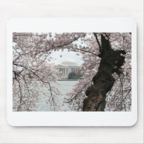 Cherry Blossom Washington DC Mouse Mat