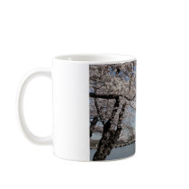 Cherry Blossom Washington DC mugs