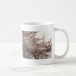 Cherry Blossom Washington DC Mug