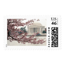 Cherry Blossom Washington DC Stamp