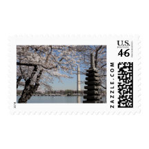 Cherry Blossom Washington DC Postage Stamp