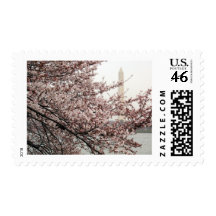 Cherry Blossom Washington DC Postage Stamps