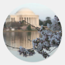 Cherry Blossom Washington DC Round Sticker