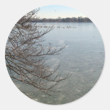 Cherry Blossom Washington DC Round Sticker