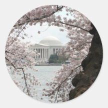 Cherry Blossom Washington DC Round Sticker