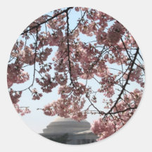 Cherry Blossom Washington DC Round Stickers