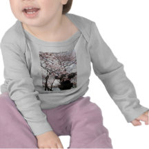 Cherry Blossom Washington DC Shirts