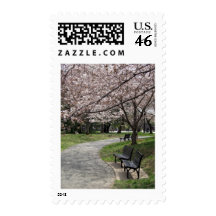 Cherry Blossom Washington DC Stamp