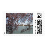 Cherry Blossom Washington DC Stamp