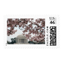 Cherry Blossom Washington DC Stamp
